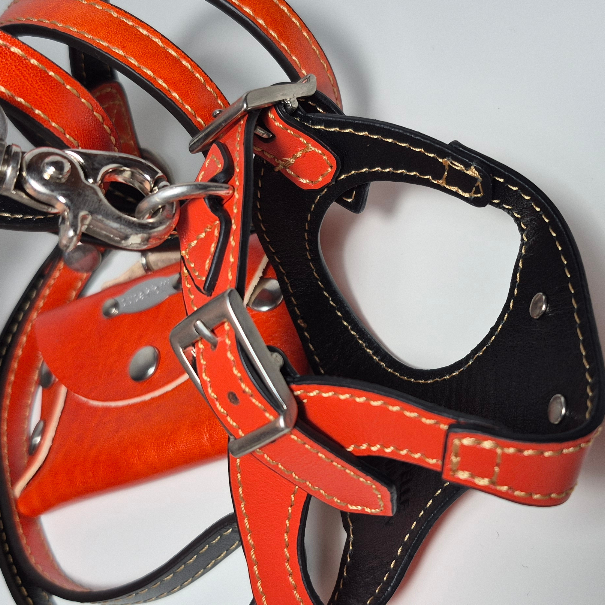 Set Pettorina e Guinzaglio in Pelle con Porta Sacchetti